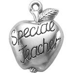 special teacher 